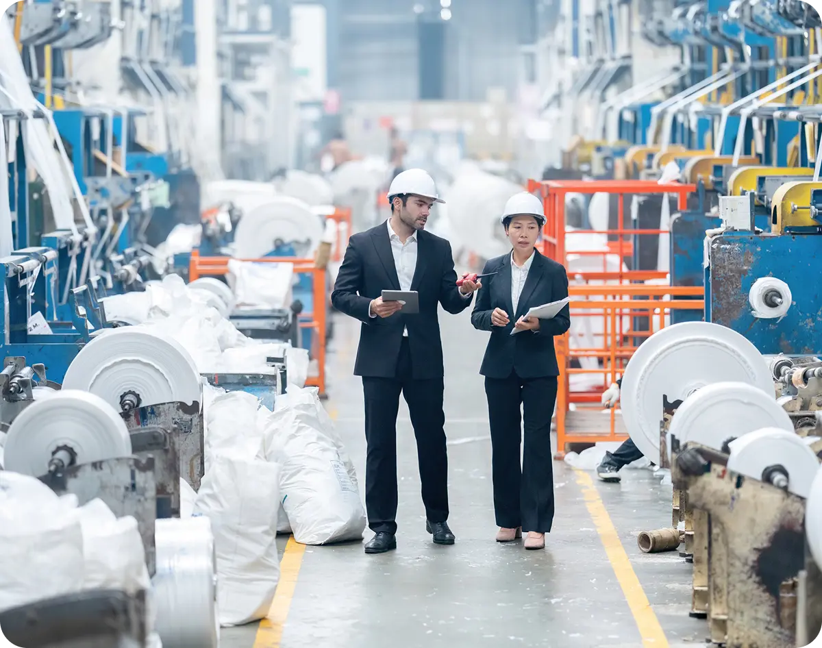 Industrial inspection by two professionals